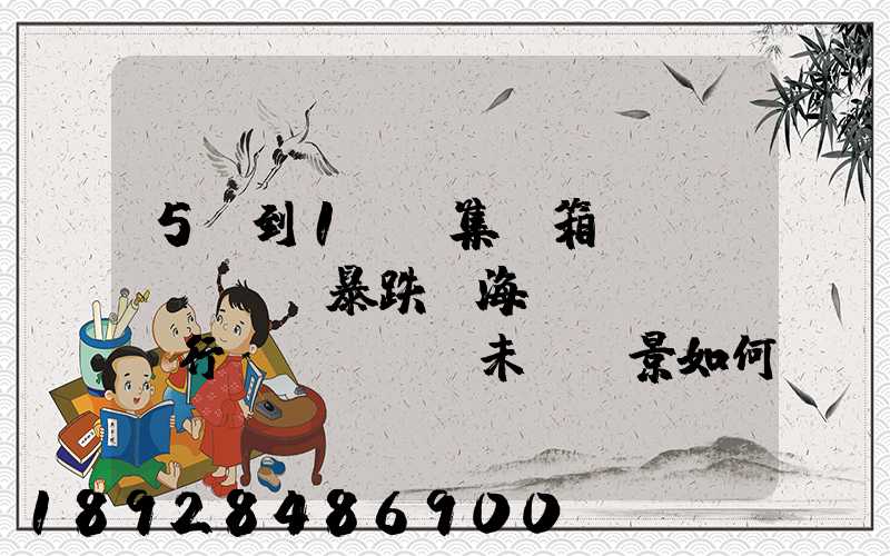 5萬到1萬,集裝箱運(yùn)價暴跌,海運(yùn)行業(yè)未來前景如何