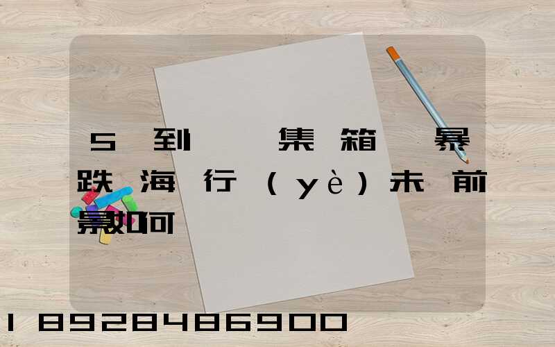 5萬到1萬,集裝箱運價暴跌,海運行業(yè)未來前景如何