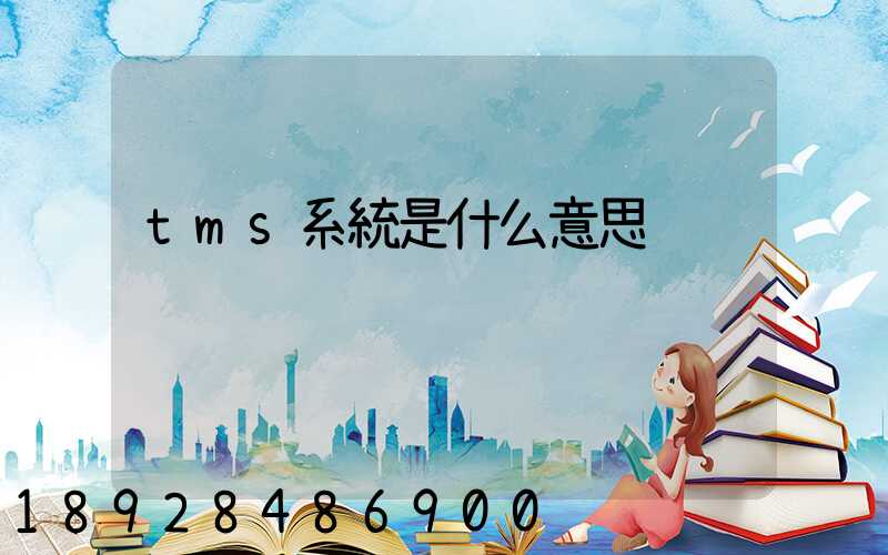 tms系統是什么意思