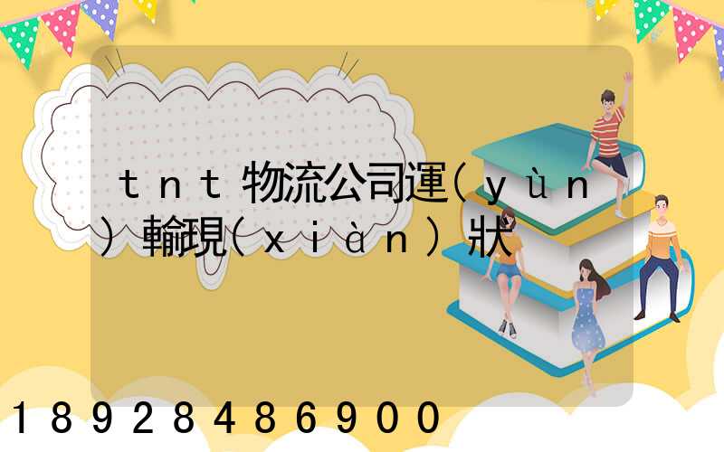 tnt物流公司運(yùn)輸現(xiàn)狀