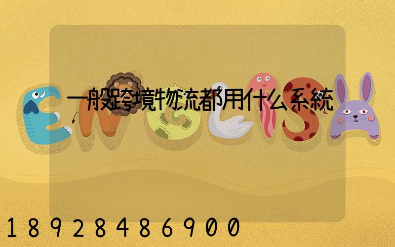 一般跨境物流都用什么系統