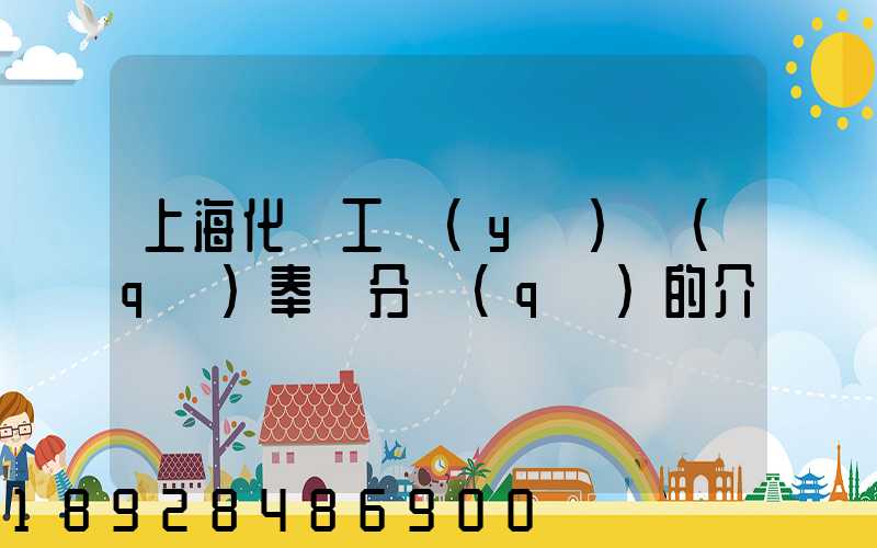 上海化學工業(yè)區(qū)奉賢分區(qū)的介紹