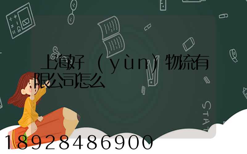 上海好運(yùn)物流有限公司怎么樣