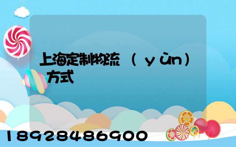 上海定制物流運(yùn)輸方式