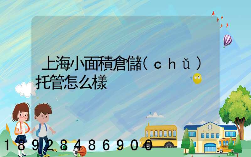 上海小面積倉儲(chǔ)托管怎么樣