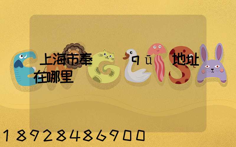 上海市奉賢區(qū)地址在哪里