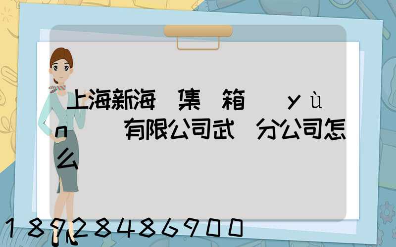 上海新海豐集裝箱運(yùn)輸有限公司武漢分公司怎么樣