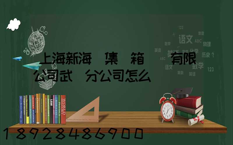 上海新海豐集裝箱運輸有限公司武漢分公司怎么樣