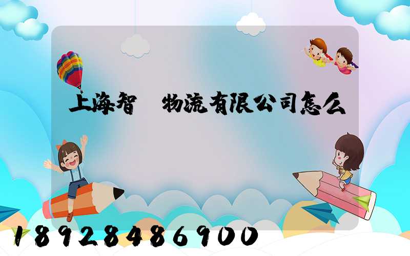 上海智寶物流有限公司怎么樣