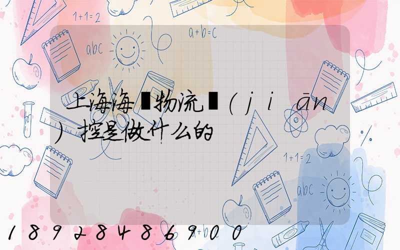 上海海關物流監(jiān)控是做什么的