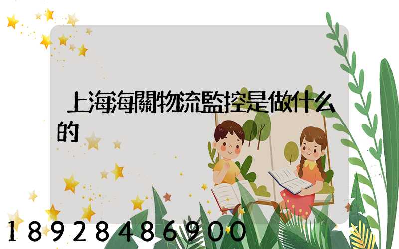 上海海關物流監控是做什么的