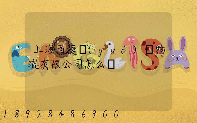 上海百捷國(guó)際物流有限公司怎么樣