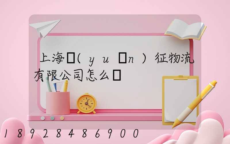 上海遠(yuǎn)征物流有限公司怎么樣
