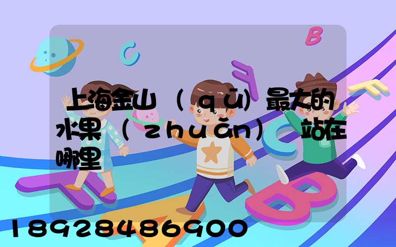 上海金山區(qū)最大的水果轉(zhuǎn)運站在哪里