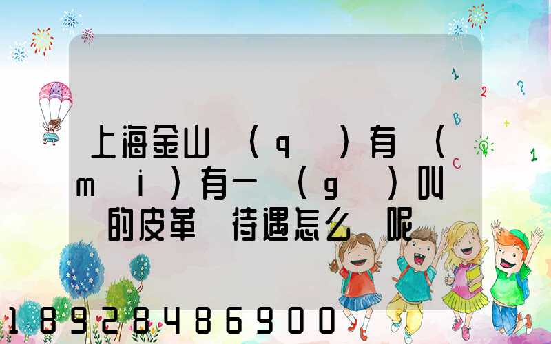 上海金山區(qū)有沒(méi)有一個(gè)叫華豐的皮革廠待遇怎么樣呢