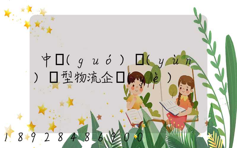 中國(guó)運(yùn)輸型物流企業(yè)