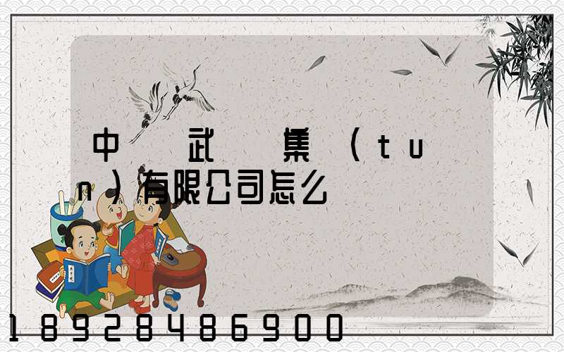 中國寶武鋼鐵集團(tuán)有限公司怎么樣