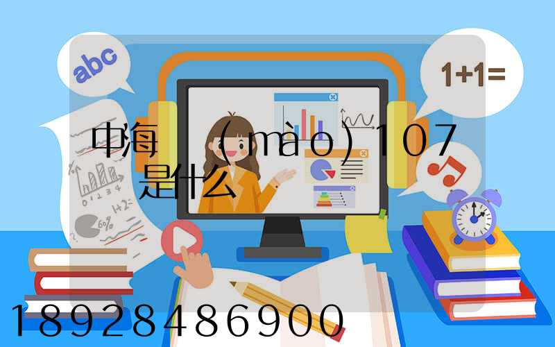 中海國貿(mào)107號倉是什么