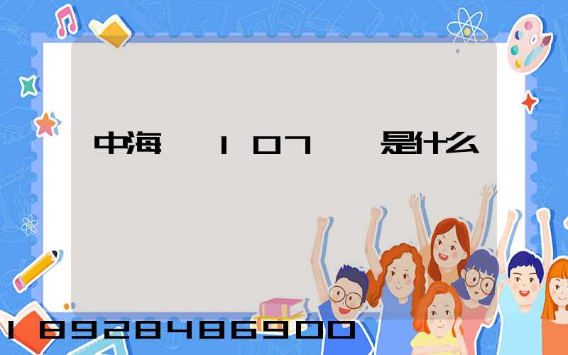 中海國貿107號倉是什么