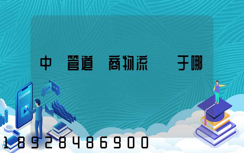 中財管道電商物流園屬于哪個區