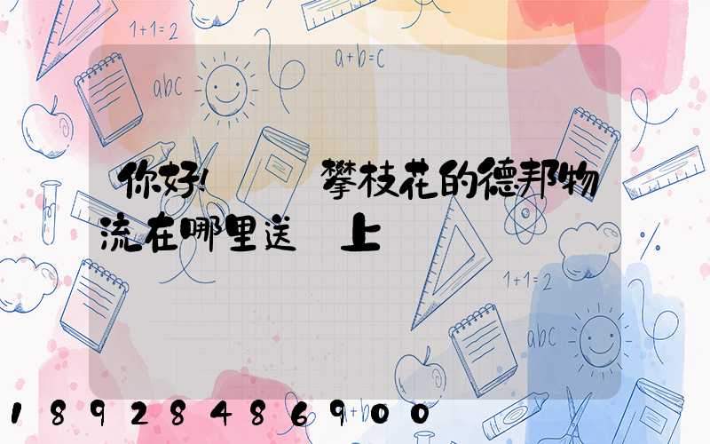 你好!請問攀枝花的德邦物流在哪里送貨上門嗎
