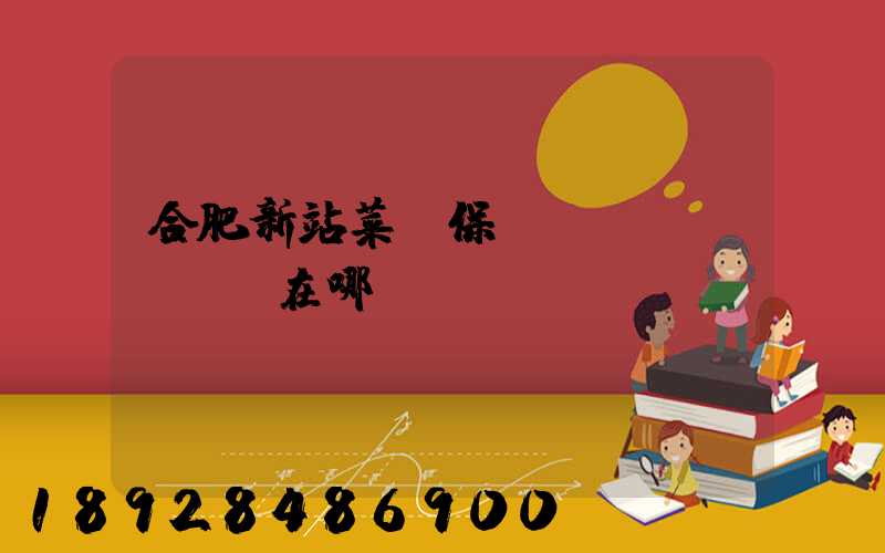 合肥新站菜鳥保稅倉(cāng)在哪