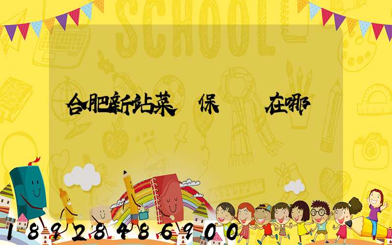 合肥新站菜鳥保稅倉在哪