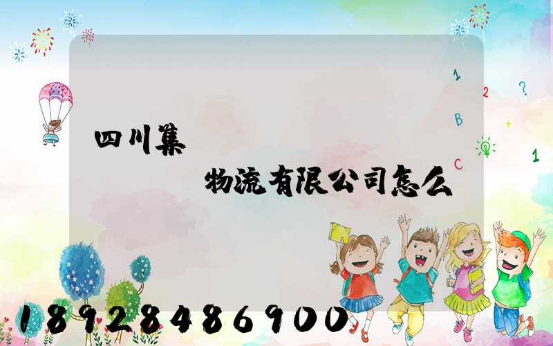 四川集運(yùn)國(guó)際物流有限公司怎么樣