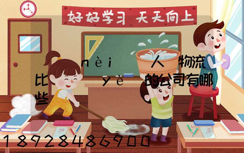 國內(nèi)無人機物流比較專業(yè)的公司有哪些