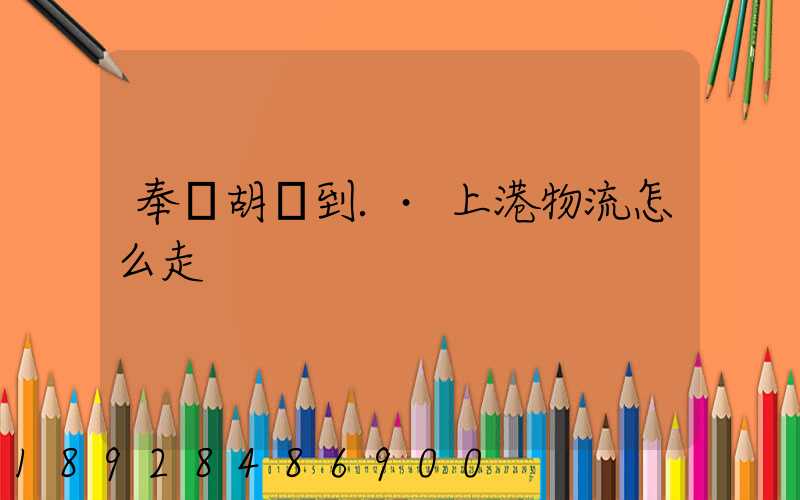 奉賢胡橋到.·上港物流怎么走