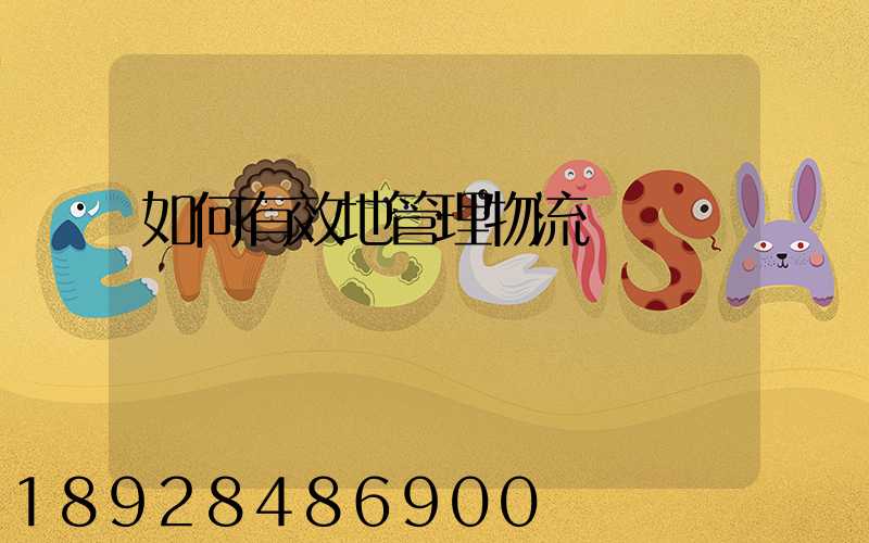 如何有效地管理物流車隊