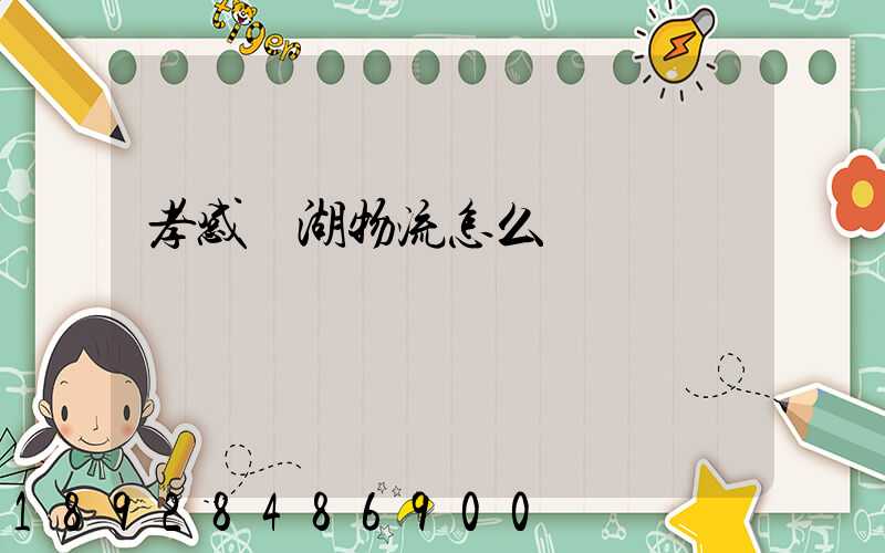 孝感長湖物流怎么樣