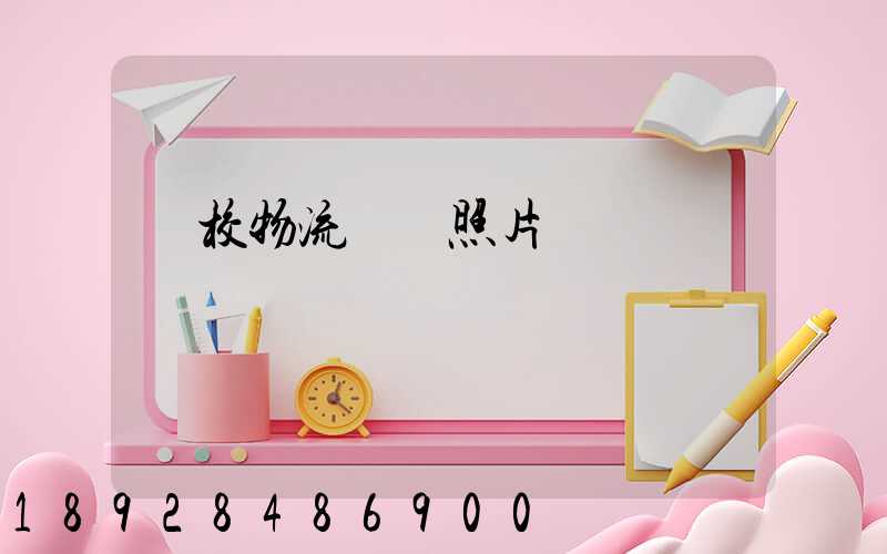 學校物流運輸照片