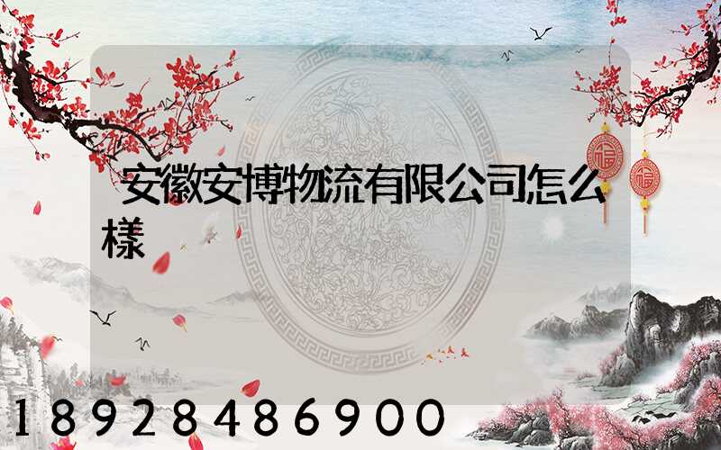安徽安博物流有限公司怎么樣
