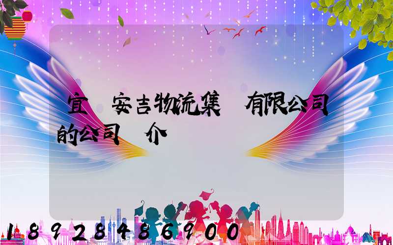 宜賓安吉物流集團有限公司的公司簡介