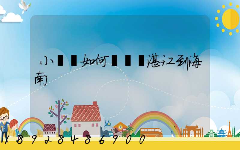 小貨車如何從廣東湛江到海南