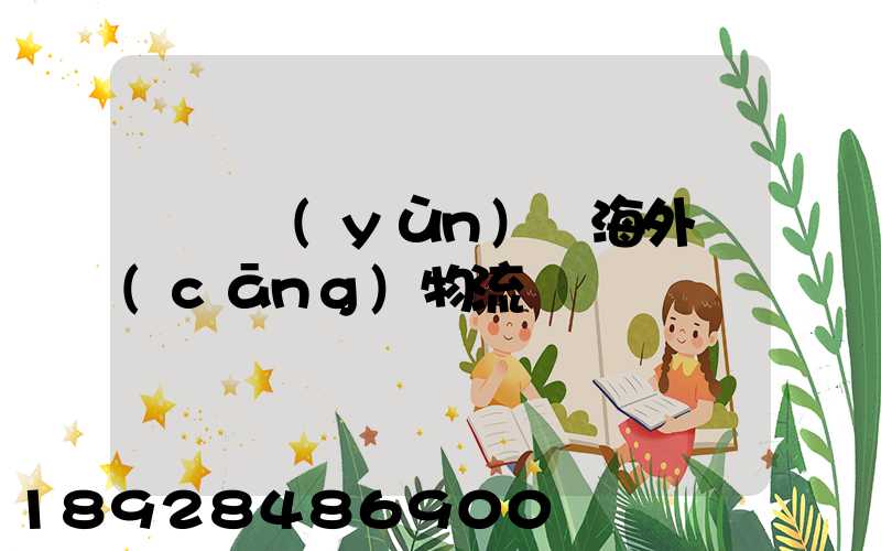 廣東運(yùn)輸海外倉(cāng)物流