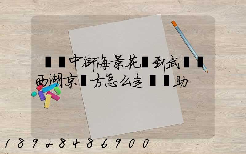 從吳中街海景花園到武漢東西湖京東方怎么走請幫助