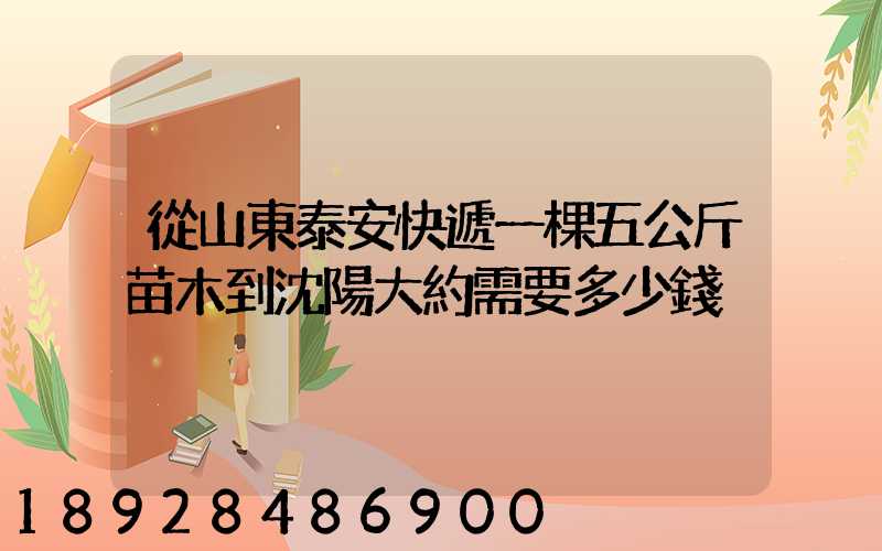 從山東泰安快遞一棵五公斤苗木到沈陽大約需要多少錢