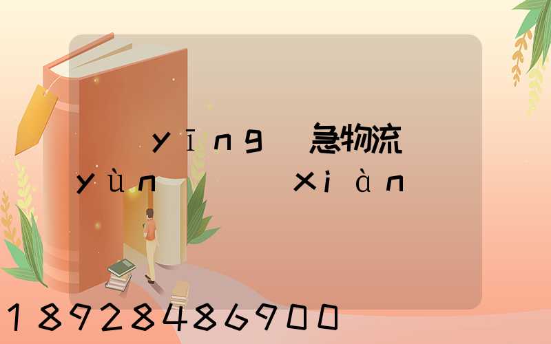 應(yīng)急物流運(yùn)輸現(xiàn)狀