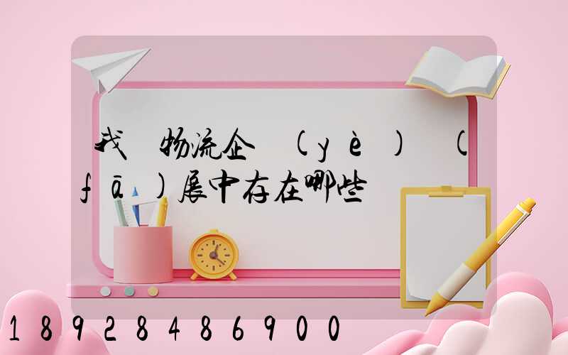 我國物流企業(yè)發(fā)展中存在哪些問題