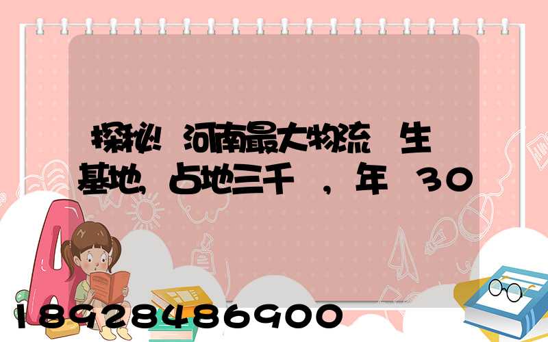 探秘!河南最大物流車生產基地,占地三千畝,年產30萬輛