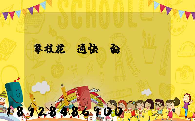 攀枝花圓通快遞的電話號(hào)碼