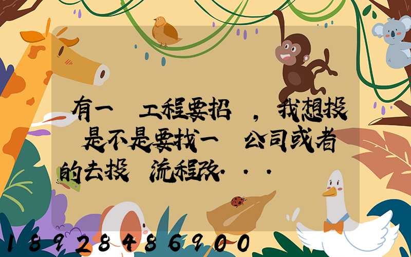 有一個工程要招標,我想投標是不是要找一個公司或者別的去投標流程改...