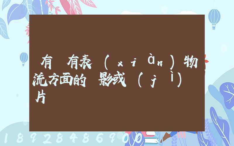 有沒有表現(xiàn)物流方面的電影或紀(jì)錄片