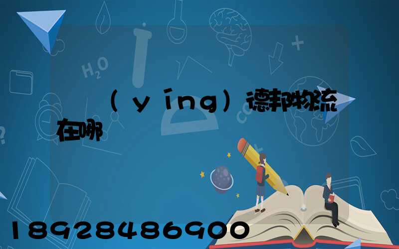 東營(yíng)德邦物流在哪