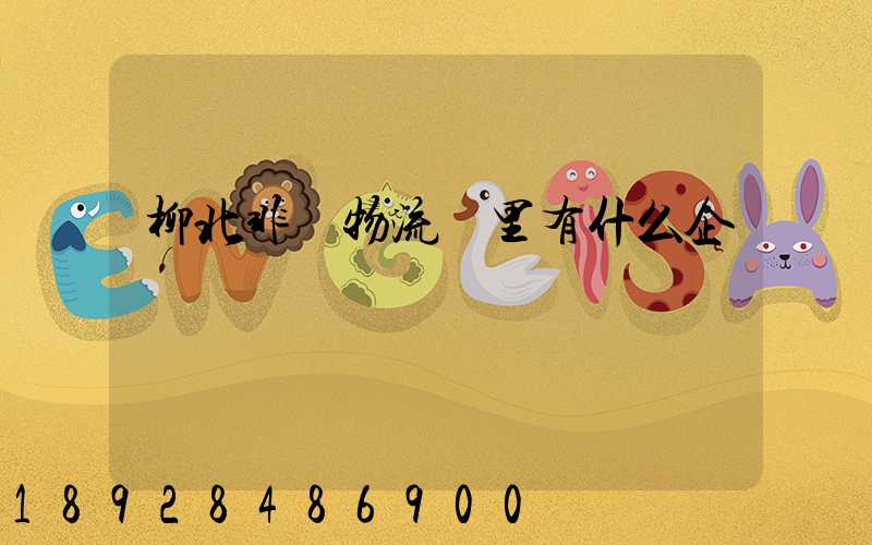 柳北非鋼物流園里有什么企業