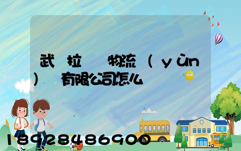 武漢拉貨幫物流運(yùn)輸有限公司怎么樣