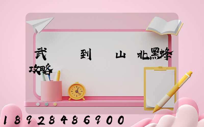 武漢駕車到雙鴨山東北黑蜂攻略