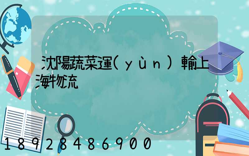 沈陽蔬菜運(yùn)輸上海物流